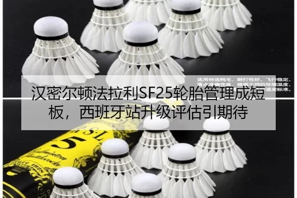 han-mi-er-dun-fa-la-li-lun-tai-guan-li-cheng-duan-ban-xi-ban-ya-zhan-sheng-ji-ping-gu-yin-qi-dai-2-634.jpg